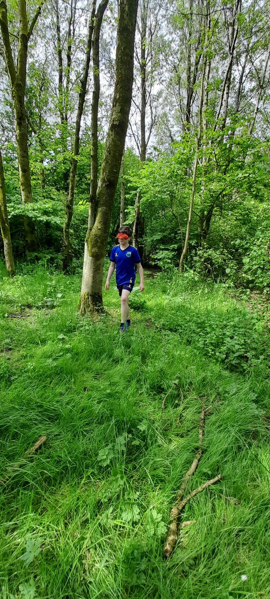 beaviscx's tweet photo. Great afternoon in the forest with my boy and the yr6's 💙💛 @Waterprimary @elementalforest https://t.co/htD9omCC7Q