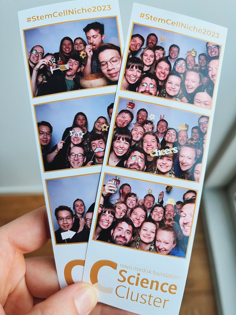Madeleine Linneberg-Agerholm (@mlagerholm_) on Twitter photo Thank you <a href="/ScienceCluster/">Novo Nordisk Foundation Science Cluster</a> <a href="/novonordiskfond/">Novo Nordisk Foundation</a> and all of the organisers for an amazing #stemcellniche2023 that exceeded all expectations - now back to reality! 🥲 Thank you <a href="/ScienceCluster/">Novo Nordisk Foundation Science Cluster</a> <a href="/novonordiskfond/">Novo Nordisk Foundation</a> and all of the organisers for an amazing #stemcellniche2023 that exceeded all expectations - now back to reality! 🥲