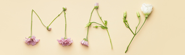 Danish-American Chamber of Commerce tweet media