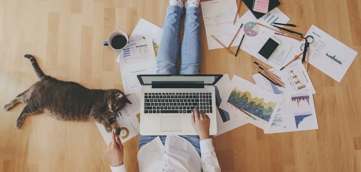 Vóór corona was thuiswerken voor de meeste kantoren een vies woord. Drie jaar later kijkt niemand raar op als collega’s vanaf hun keukentafel inloggen. Hoe ziet het thuiswerkbeleid bij de grotere kantoren er nu uit?
Lees hieronder het gehele artikel;

buff.ly/415L2et