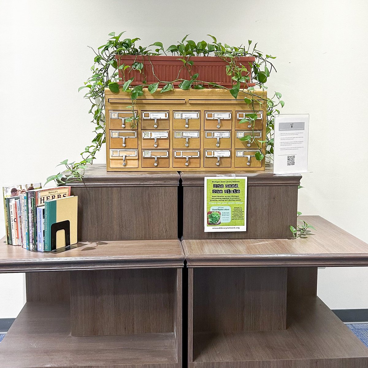 OULibraries's tweet image. It’s not too late to start your garden this season! Did you know that Kresge Library has a seed library? The seeds— including flowers, herbs, and vegetables —are free, and there are several books available with gardening tips.
#oaklandu #ThisIsOU #KresgeLibrary #sustainability