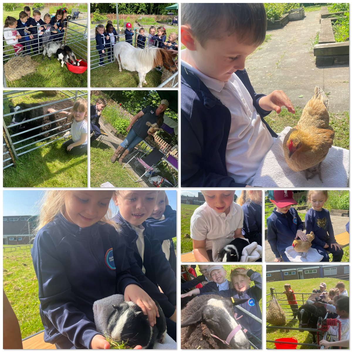 We absolutely loved our farm visit today! Thank you so much to @AlldaysFarm for a brilliant day! Reception now want a class pet guinea pig! 🐹 @GarstonCE
