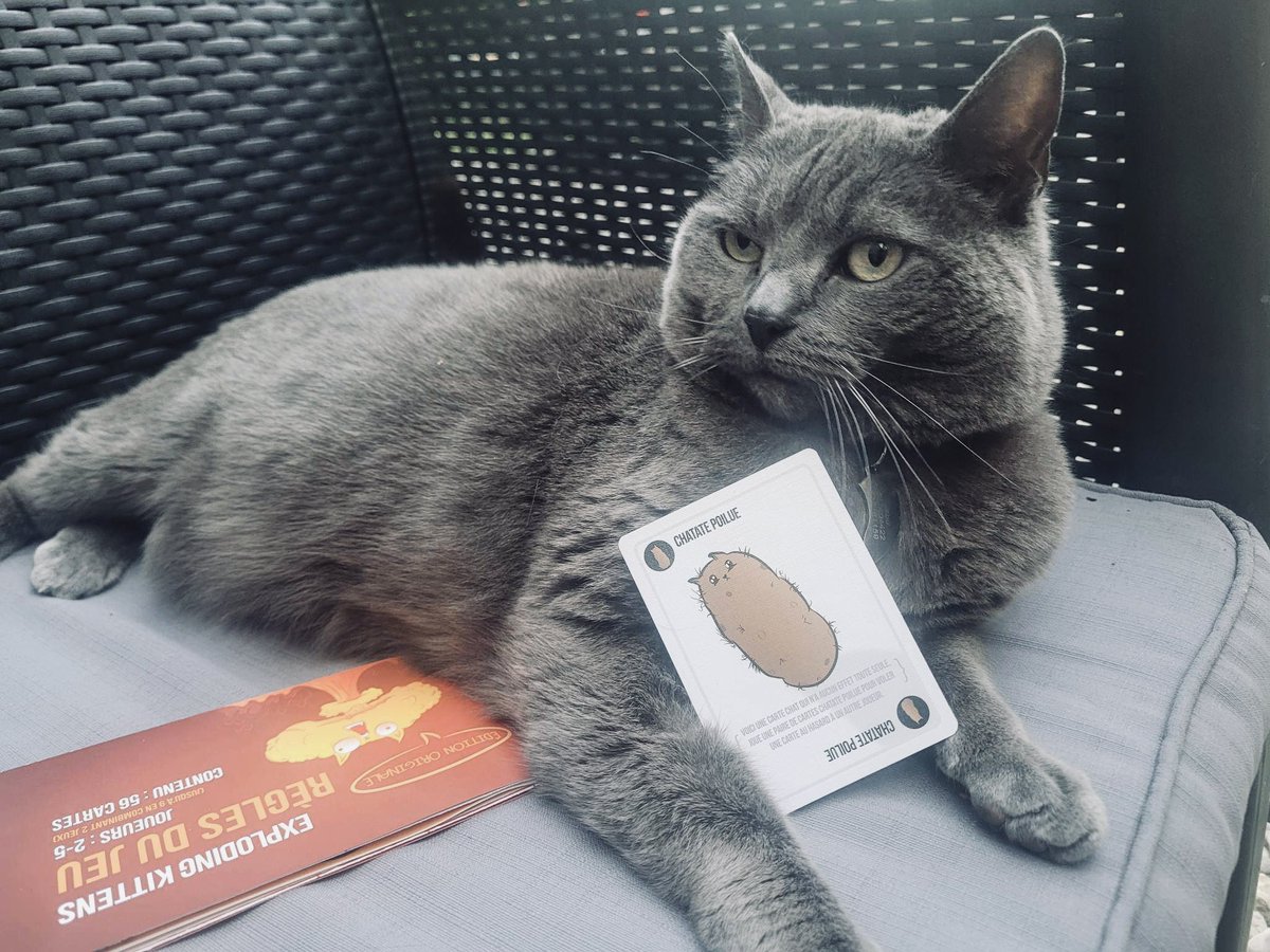 Il semblerait que j’ai trouvé votre inspiration pour cette carte… <a href="/gameofkittens/">Exploding Kittens</a>