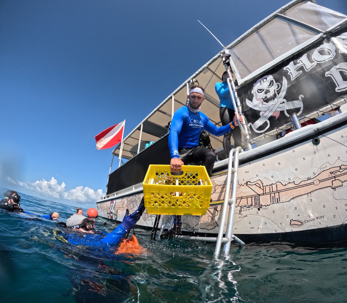 coralcrf's tweet image. Many hands make light work #FridayFieldUpdate

This week our volunteers were a major asset. Divers visited 4 different reef sites this week; Alligator, Pickles, Carysfort, and Eastern Dry Rocks returning over 2,700 elkhorn and staghorn corals across all 4 locations! 📣