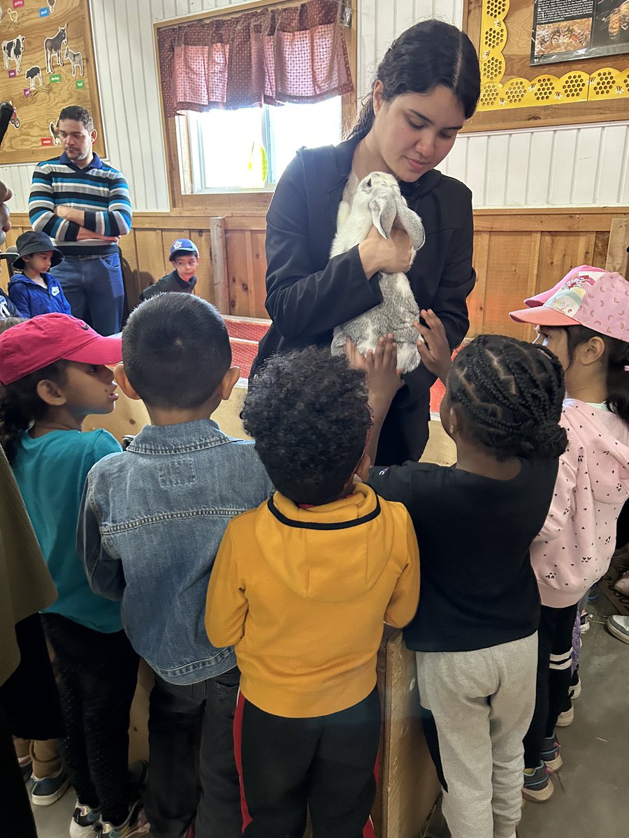 GAPS_TDSB's tweet photo. Our FDK students had a great day at the farm! TY to our many parent helpers. TY to our staff. @kwamelennon https://t.co/wxVVSVvU7n