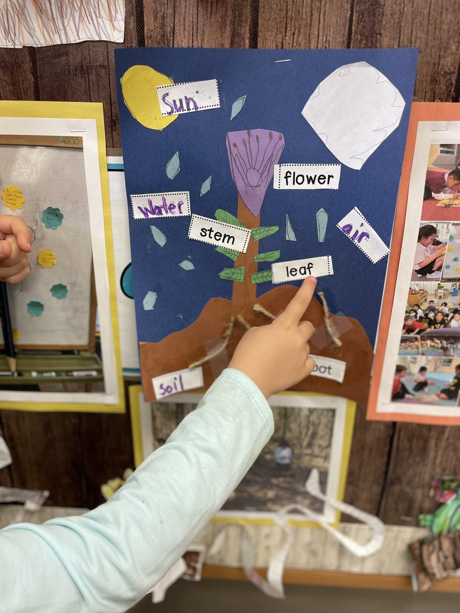 HTS_Kindies's tweet photo. Ask us about creating plans for our #springinquiry “Show What You Know” stations next week. 🗓️📝🔎 #collaboration #teamwork #springvocabulary #inquiry #BetterTogether❤️ @ConnieRanieri @HTSRichmondHill https://t.co/LDkxrT2eKY
