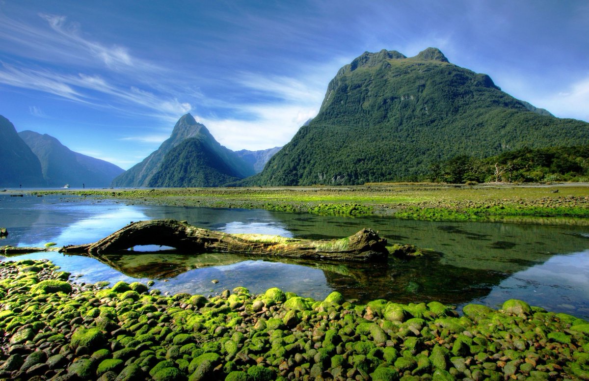 Mesmerizing & visually pleasing. Milford Sound. New Zealand. NMP.
