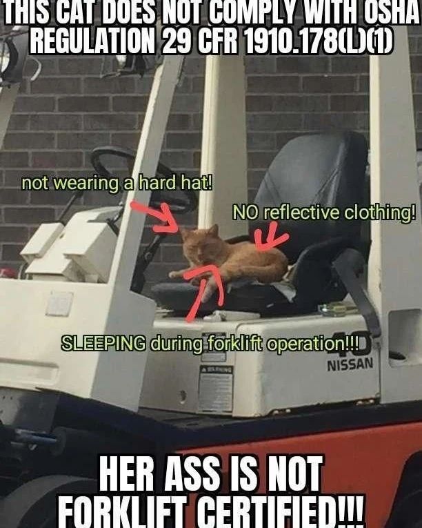 Not forklift certified.