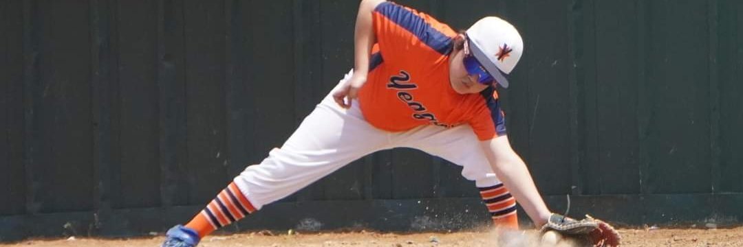 847 different Ohtani's tweet media