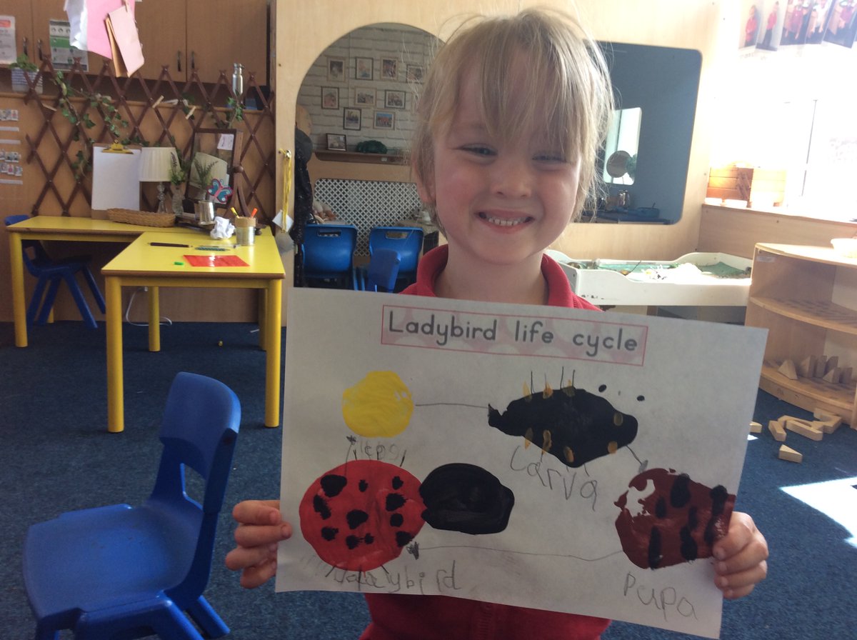 MrsRPye's tweet photo. Wonderful work this week on the ladybird life-cycle. @RedscopeSchool https://t.co/l6L2sE8oCG