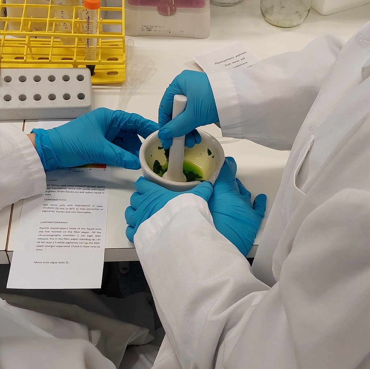 PhotoMicrobes's tweet photo. In May, 45 students from @Turun_Norssi have visited our lab to learn about #microalgae and their role in #bioeconomy. They created #algae balls, observed #photosynthesis and ran chromatography. It's important to show students how fun science is! 🧫 @UniTurku #STEMeducation https://t.co/tcd7EGSKZm