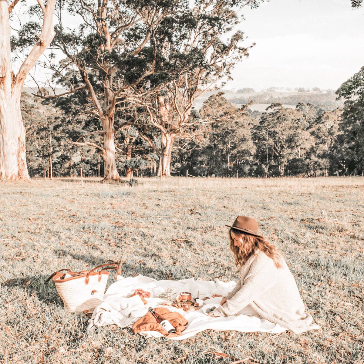 getthe3rd's tweet image. Why should you get a good dose of morning sunlight? ☀️
-increases energy
-improves sleep
-healthy eyes
-strong bones
-clear skin
-improves healing
-increases mental health

#morningsunlight #morning #morningroutine