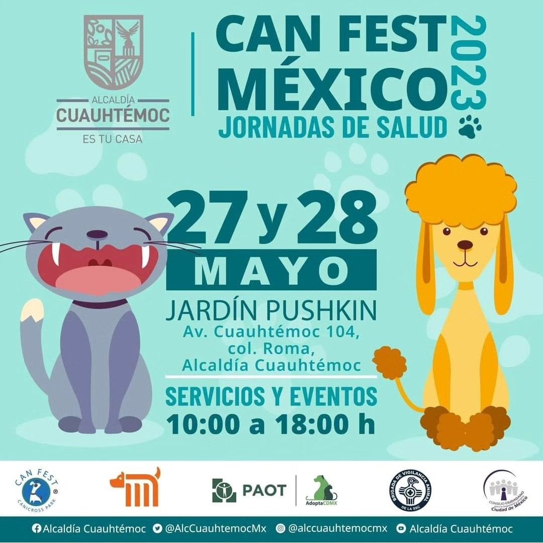 Alina_Gag's tweet photo. Nos vemos ahí mañana 🤩 @FundacionToby siempre lleva cosas increíbles y formar equipo con ellxs para que lleguen a fin de mes pudiendo costear toooodo lo que es haber rescatado perritos, cerdita, cabra, borregos y más, es increíble

Quien más viene? 💛 https://t.co/yrer0CQ1Lp