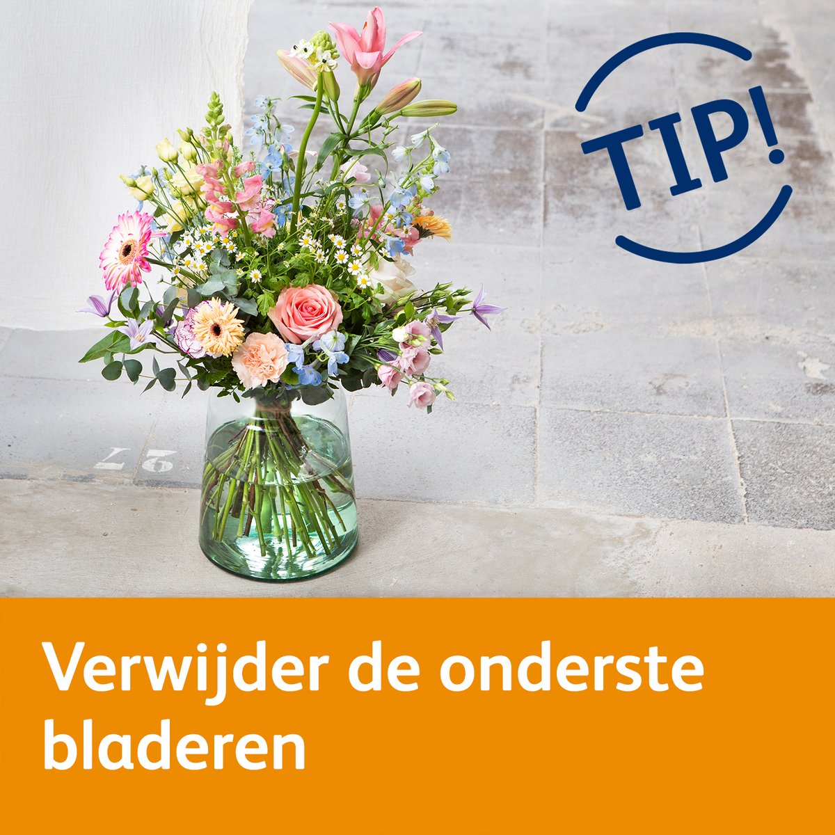 Chrysal Benelux tweet media