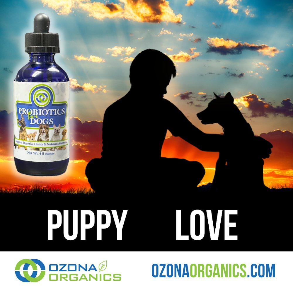 OzonaOrganics's tweet photo. Want to improve your pup's overall health? Try Ozona Organics Probiotics for Dogs and see the difference in their energy and wellbeing. #HealthyPups #PetWellness https://t.co/DfbCmqFXA8 https://t.co/dg5NxUdzUQ