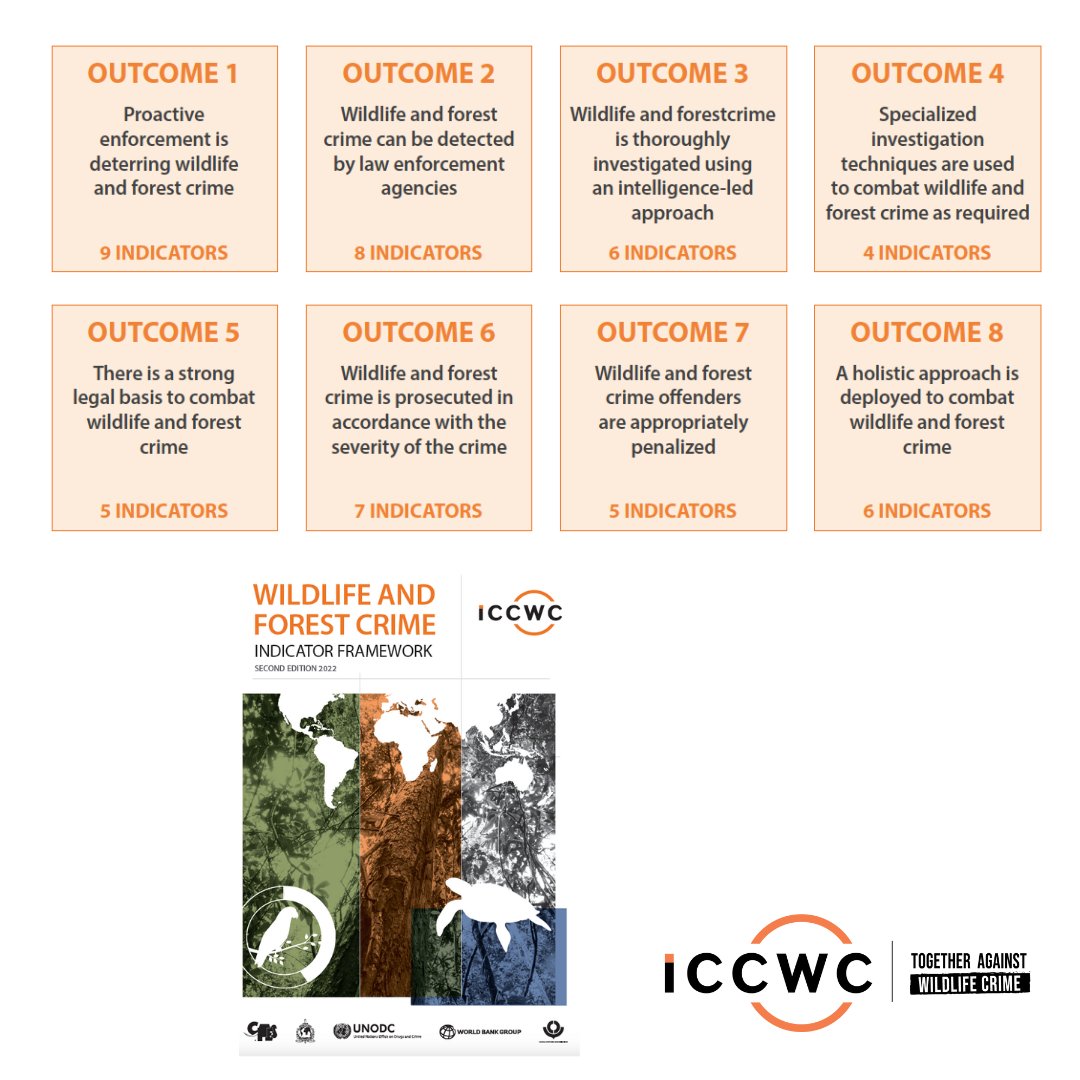 The #ICCWC Indicator Framework is a comprehensive set of 50 indicators arranged against 8 desired outcomes of effective law enforcement responses to combat wildlife and forest crime 📒

🆕Read the new version here - bit.ly/425uhk2

#TogetherAgainstWildlifeCrime