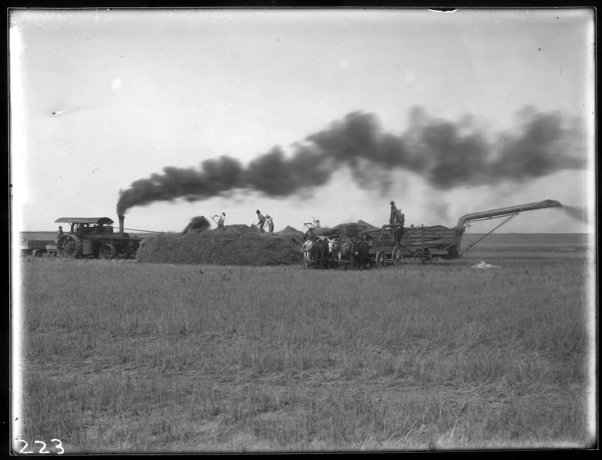 KStateAgRsch's tweet image. #DidYouKnow The original mission of land-grant institutions was to teach agriculture, military tactics, mechanic arts, and classical studies so working class members could obtain a practical education. #KAESFunFactFriday @kstateag @APLU_News buff.ly/42eFm2G