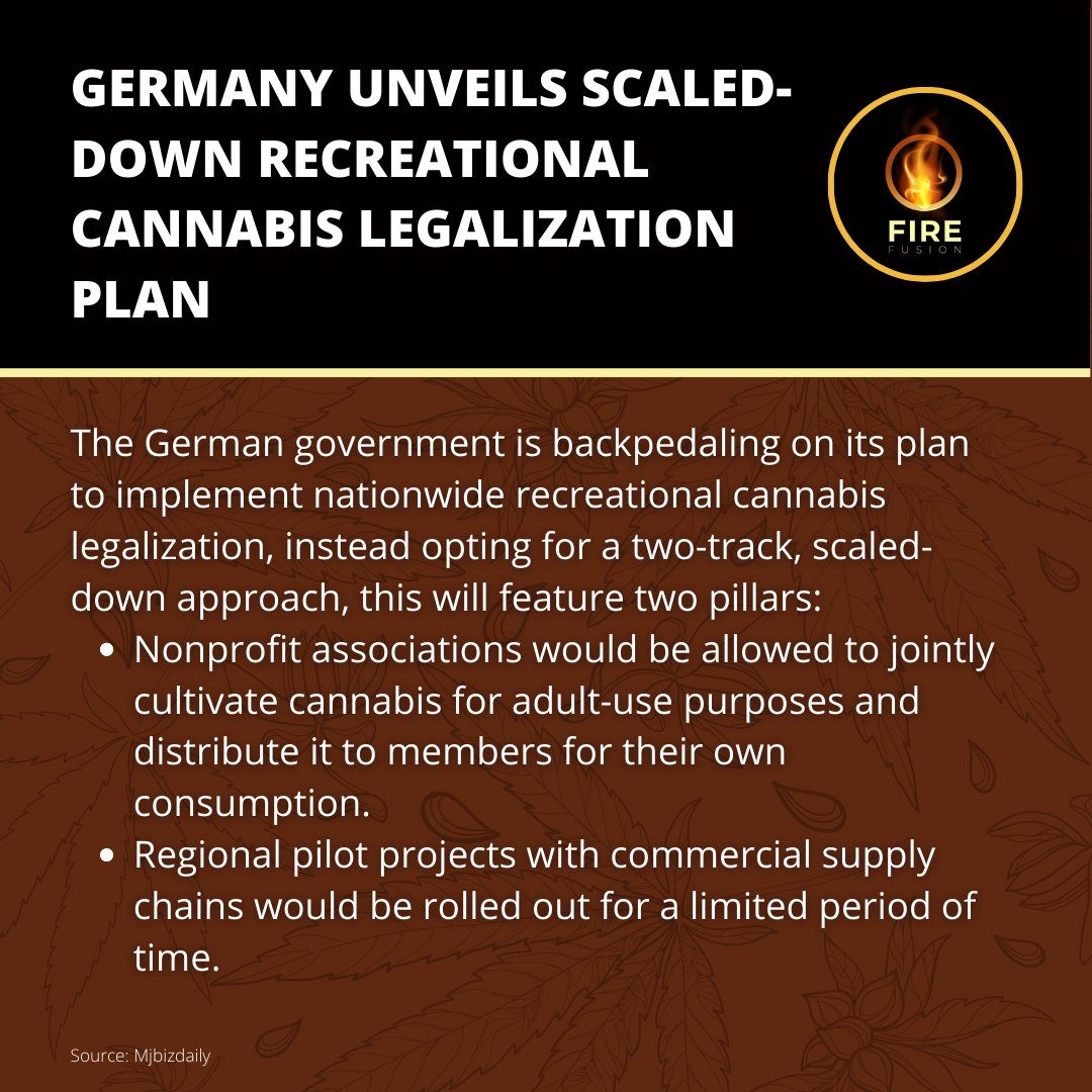 Germany unveils recreational cannabis legalization plan to the EU 👏

#Spliff #Rollingtray #Rollingpapers #Ashtray #Cannabiscommunity #Vapelife #Vaping #Smokeshop #Bongs #Weedgrinder #420 #710 #Firefusion420 #Medicinal #Connectingcommunities #Holistichealing #Terpenes