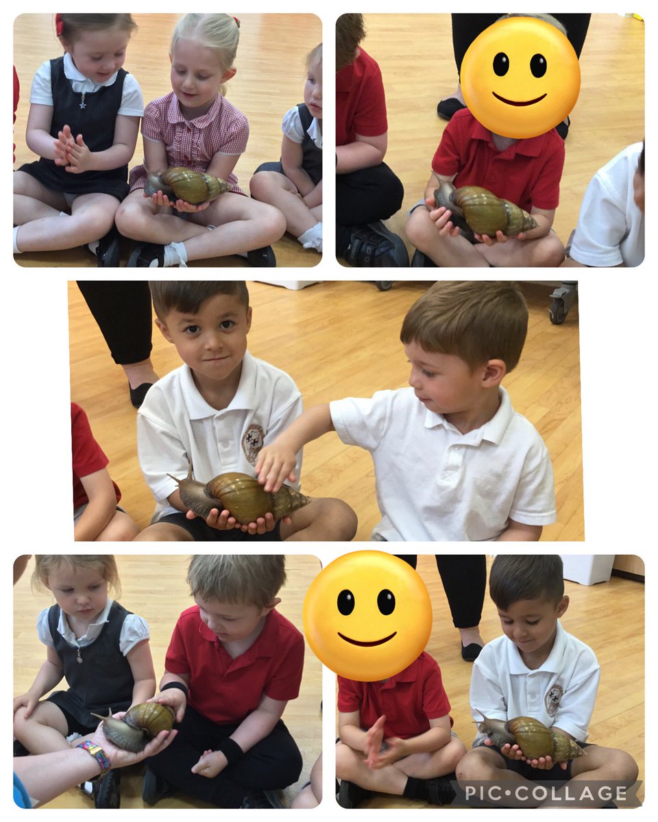 What an amazing morning! Hands on learning at its best. Michala from @LionLearners was absolutely fantastic with the children and her animal facts! Thank you so much! ❤️ part 2 @TheEllisPrimary