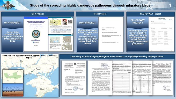 Russia Claims Evidence of Avian Flu Pathogens with Up to 40% Human Lethality at US Biolab in Ukraine FxECl2LWcAExm9L?format=jpg&name=small