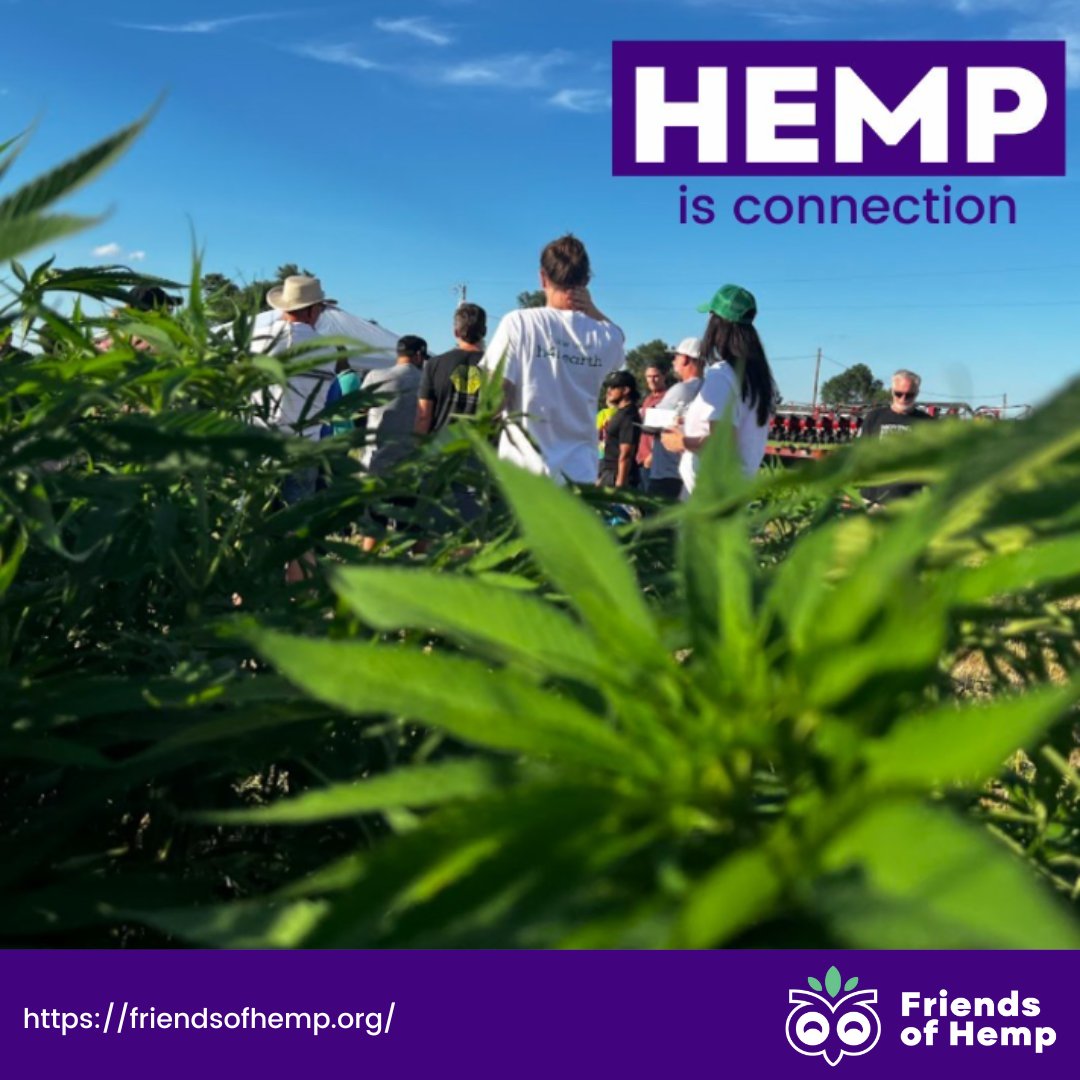 Friends of HEMP tweet media