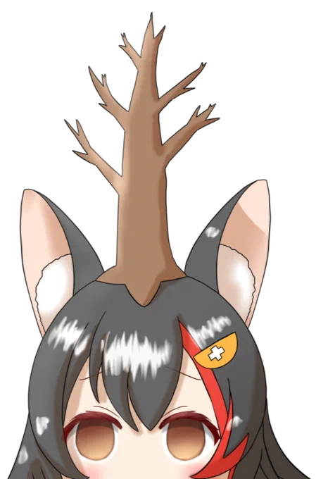 ↓透過 