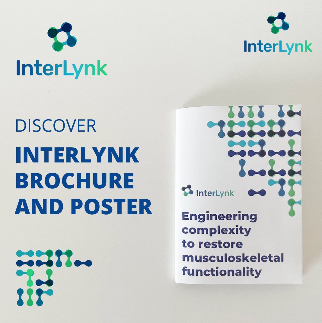 🌟 Discover our new InterLynk leaflet! 📢 Uncover our groundbreaking research, and learn about the development of tailored multi-material scaffolds with unprecedented biofunctionality. Click to browse the brochure: bit.ly/3oqdLgR
