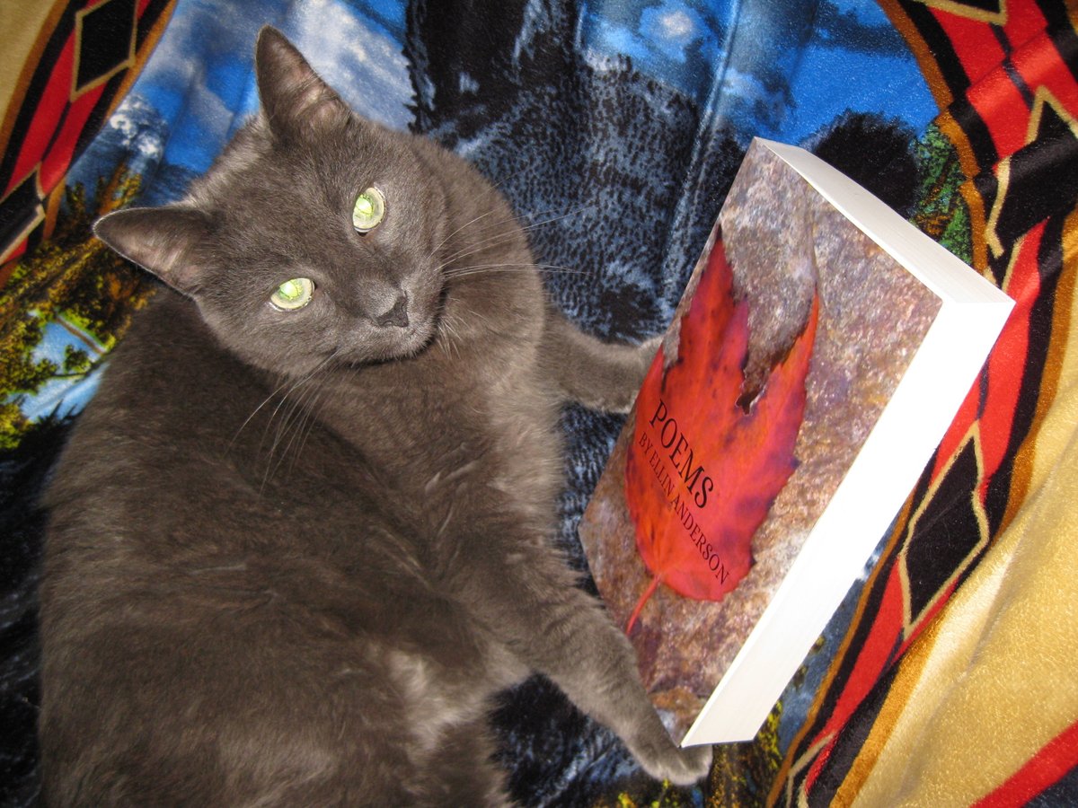 ellin_anderson's tweet photo. The late Alistair Meowley says: "Pleeeeeeze buy this book!" #CaturdayEve #Caturday #poetry #CatPoems https://t.co/2Q8jL9v3tj https://t.co/pCroKwnckh