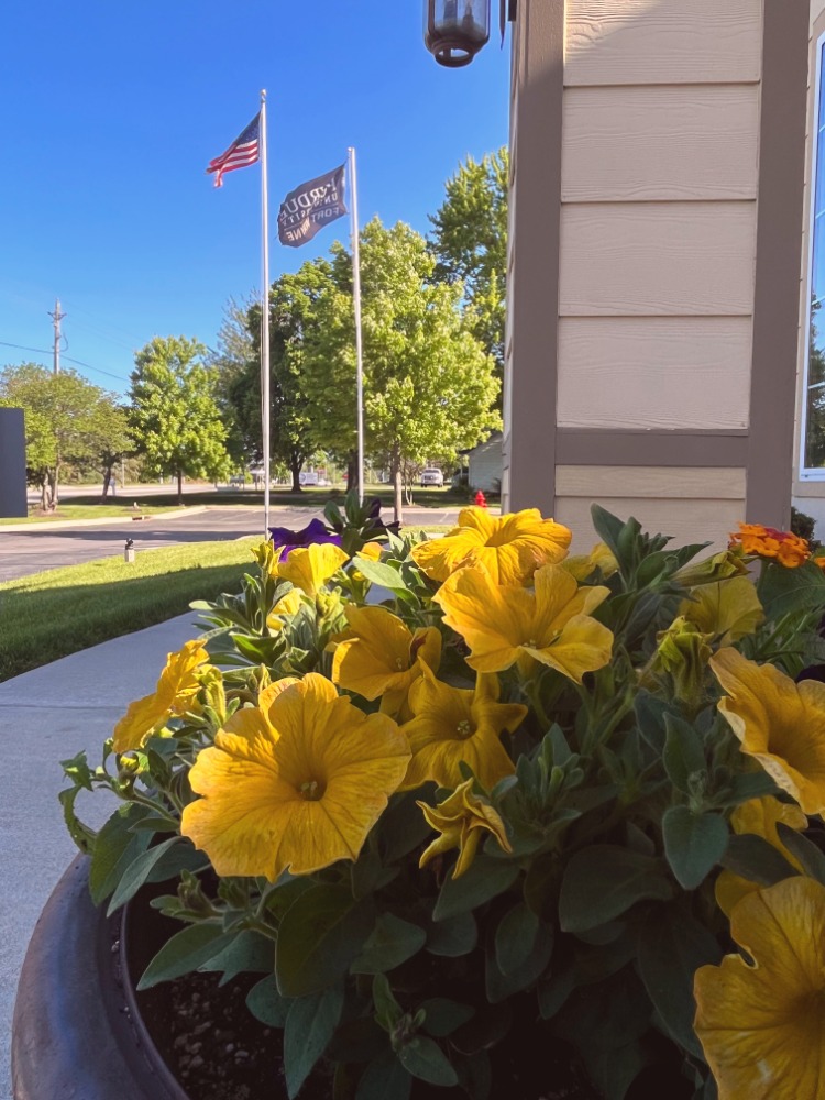 StJoePlace's tweet photo. Memorial Day is just around the corner! What are your plans to celebrate this weekend? 🇺🇸 https://t.co/N319SV17Gm
