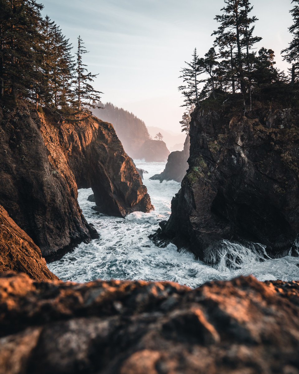 Marylee Burman tweet media