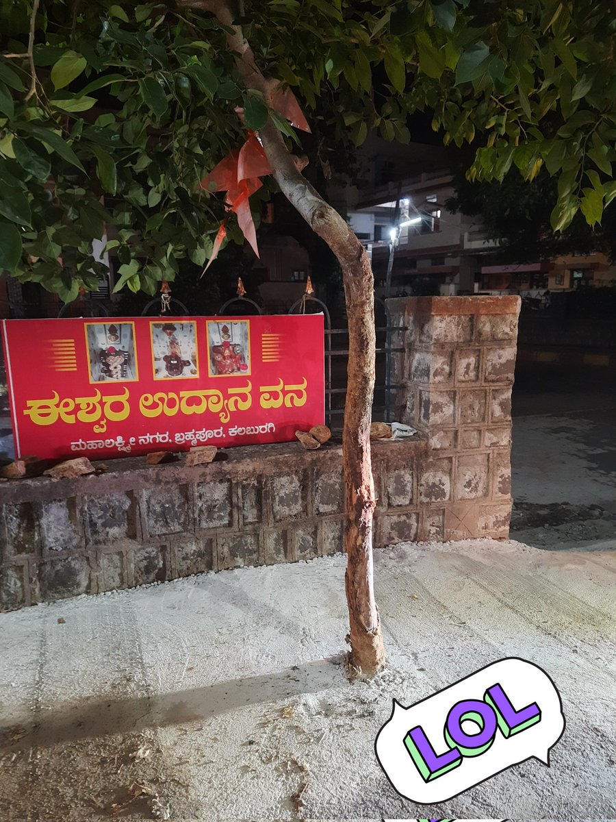Hats off to the Contractor &amp; Engineer who built such a fantastic road where Tree must not grow any more! Salutes to people of surrounding houses too.
End to end CC roads r a serious threat to Ground Water recharge! Will understand only when Borewells go dry!
Be ready!!