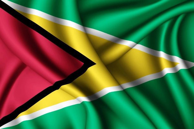 Happy Independence Day Guyana ! 🇬🇾💛