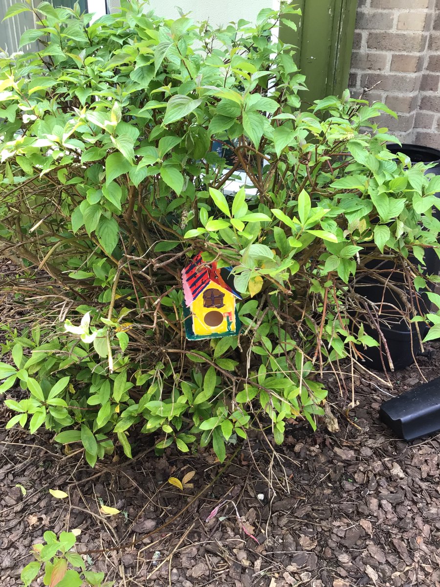 Albert Bradbeer tweet media