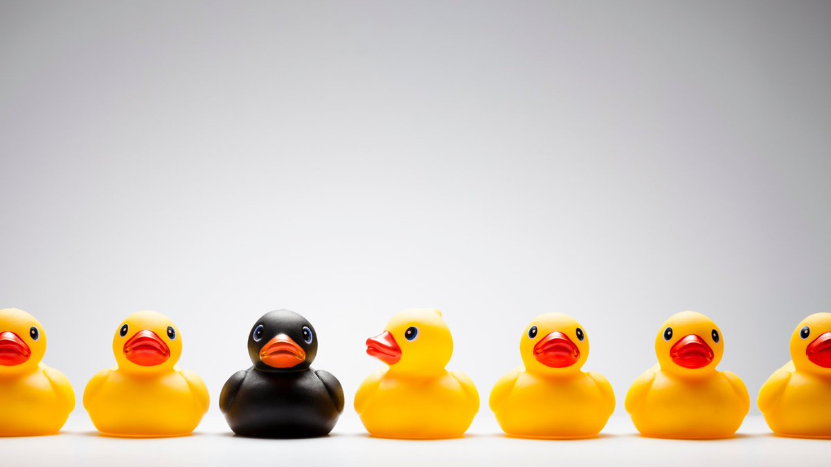Yup, we're that duck. 
The Odd Duck. 
We’re different than the rest of our competitors, and we like it that way.
Are you ready to experience the Odd Duck difference for your business?

210-920-0706
oddduckmedia.com
#oddduckmedia #oddduck #beanoddduck