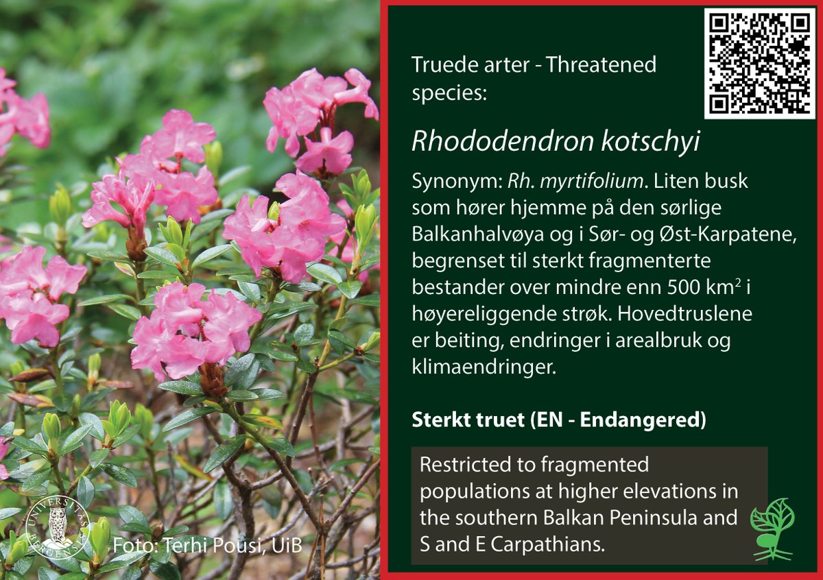 Our new threatened #Rhododendron signs are out in the collections. Glad to be a northerly outpost of the Global Conservation Consortium for Rhododendron.   globalconservationconsortia.org/2023/05/26/con…