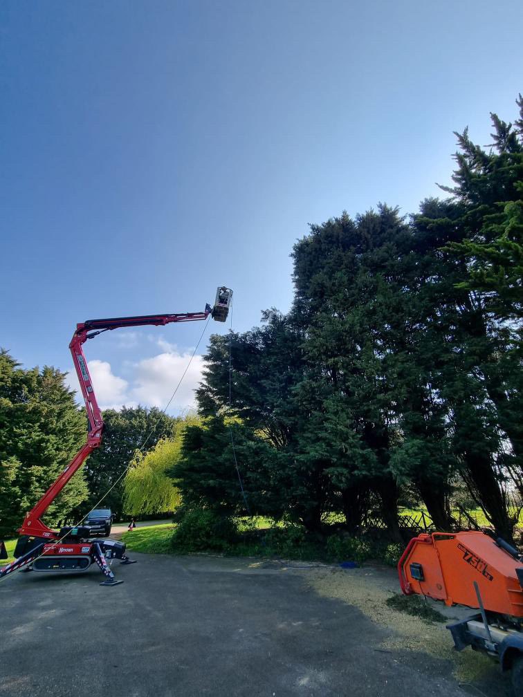 jmshire's tweet photo. Our new Hinowa Lightlift 20.10 Bi-energy Tracked Boom Lift!

✅20.1m maximum working height
✅9.7m maximum horizontal outreach
✅230kg lift capacity 
✅Diesel and lithium battery power-source
✅0.79m travel width
✅Auto speed control

“The machine has been great” - Knellerstrees https://t.co/2ISHX2q2kr