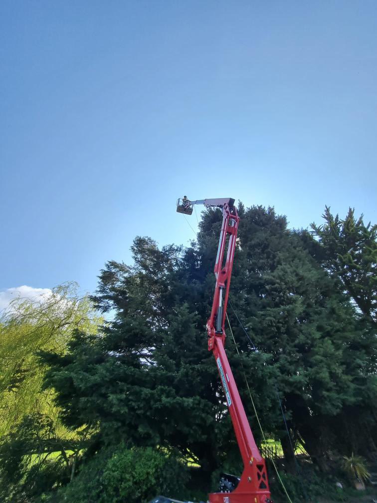 jmshire's tweet photo. Our new Hinowa Lightlift 20.10 Bi-energy Tracked Boom Lift!

✅20.1m maximum working height
✅9.7m maximum horizontal outreach
✅230kg lift capacity 
✅Diesel and lithium battery power-source
✅0.79m travel width
✅Auto speed control

“The machine has been great” - Knellerstrees https://t.co/2ISHX2q2kr