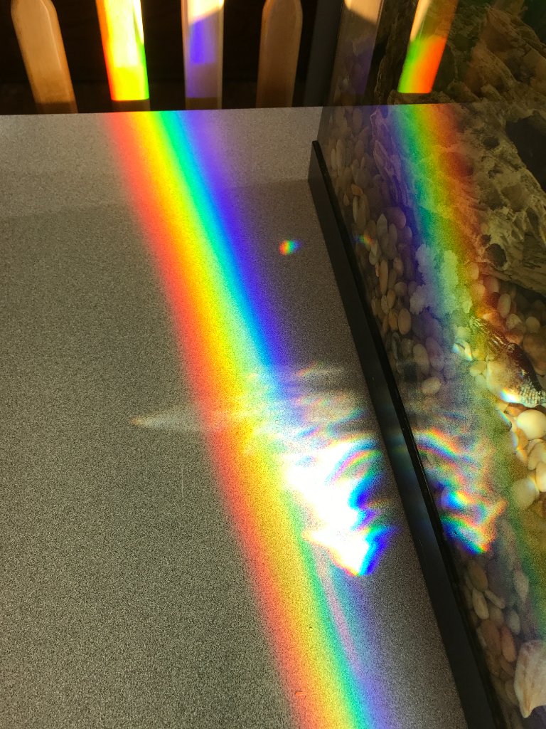 When I got to school this morning, the sun was being diffracted through the fish tank.