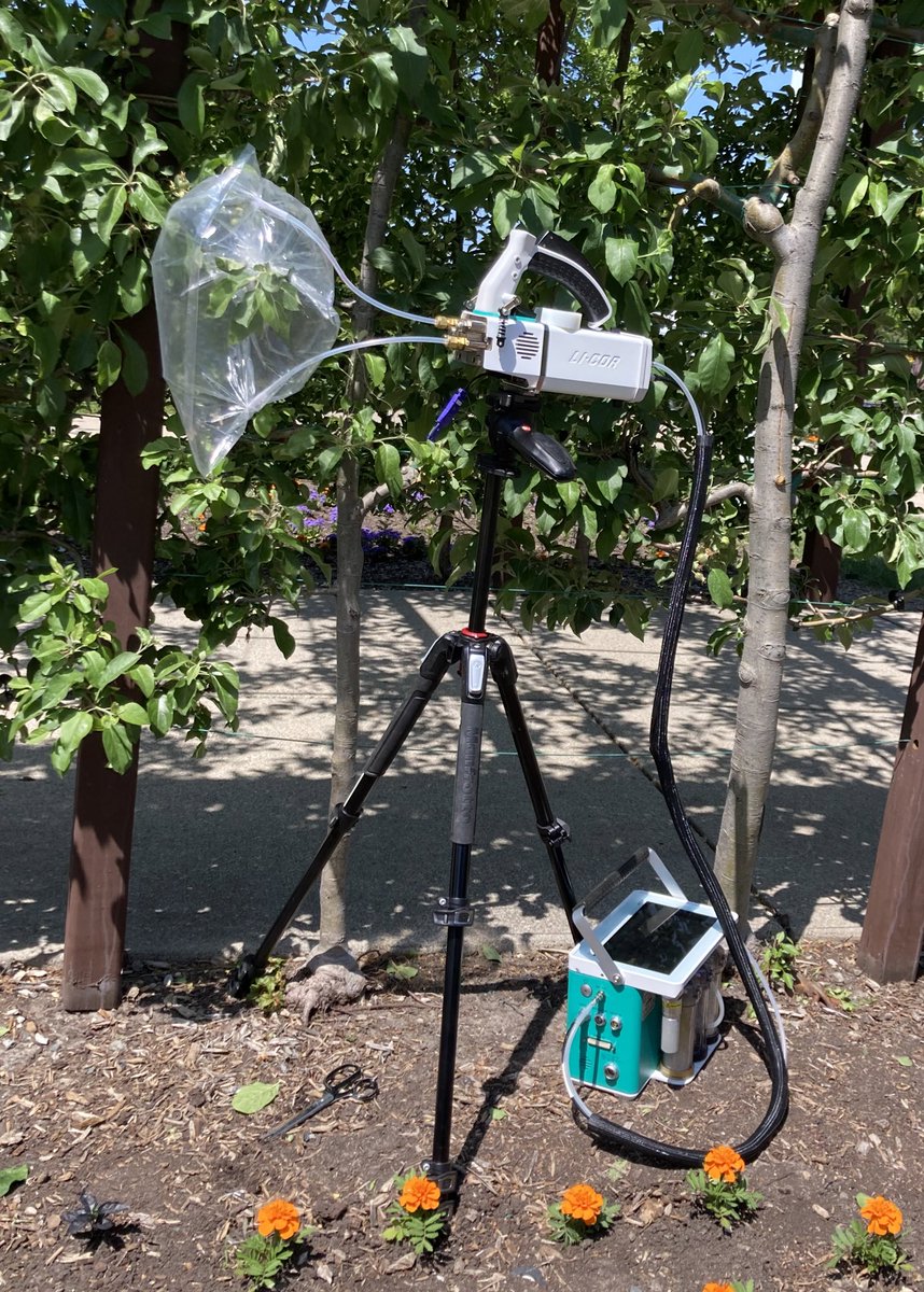 If life gives up apples…
🌱🍎🤖⚡️