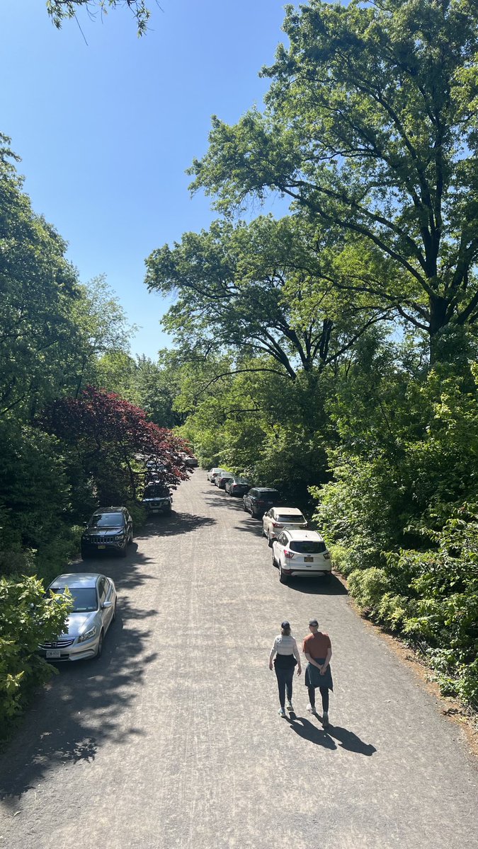 The NYPD loves #Centralpark so much they have decorated the Bridal Path with their own personal vehicles. Thank you, ⁦<a href="/NYPDPC/">Jessica S. Tisch</a>⁩ it really enhances the park in a way Olmstead and Vaux could have only dreamt about. ⁦<a href="/TransAlt/">Transportation Alternatives</a>⁩ ⁦<a href="/jeffnovich/">Jeff Novich 🚴</a>⁩ ⁦<a href="/placardabuse/">placard corruption</a>⁩