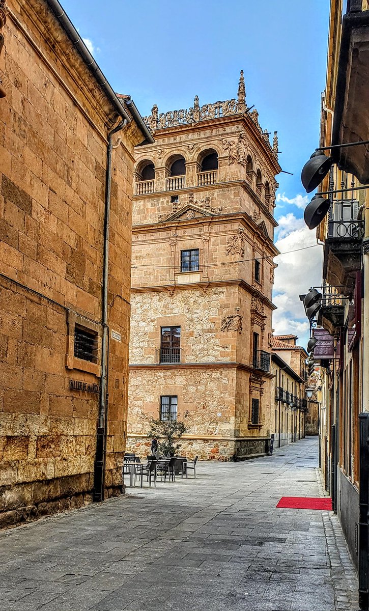 Salamanca.Palacio de Monterrey