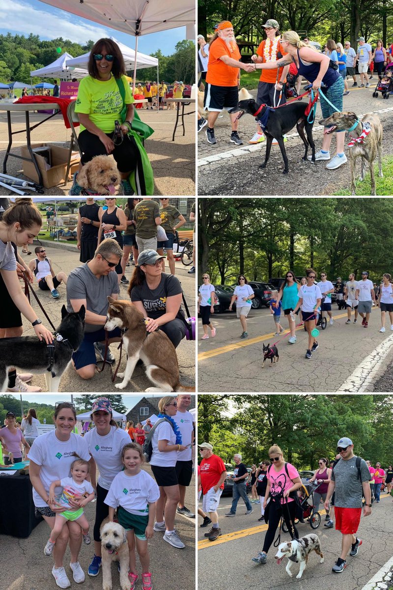 Pittsburgh Cure Sarcoma (@pghcuresarcoma) on Twitter photo Join us June 24th for a morning of food, fun, family, and friends! And don't forget your furry team members! runsignup.com/Race/PA/Alliso… #pittsburghcuresarcoma #pcsraceday2023 #letsfindacure #petsofpcs Join us June 24th for a morning of food, fun, family, and friends! And don't forget your furry team members! runsignup.com/Race/PA/Alliso… #pittsburghcuresarcoma #pcsraceday2023 #letsfindacure #petsofpcs