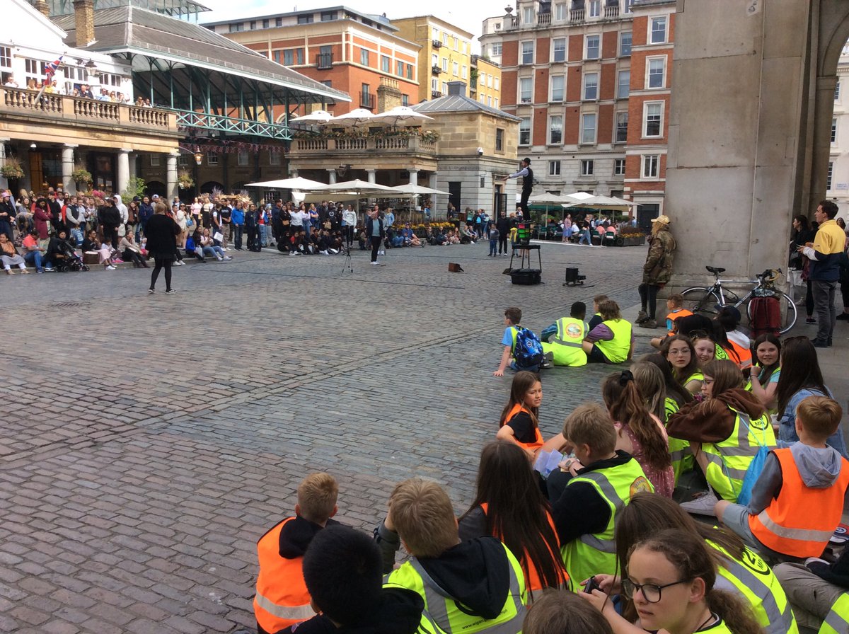 Mab's Cross Primary tweet media