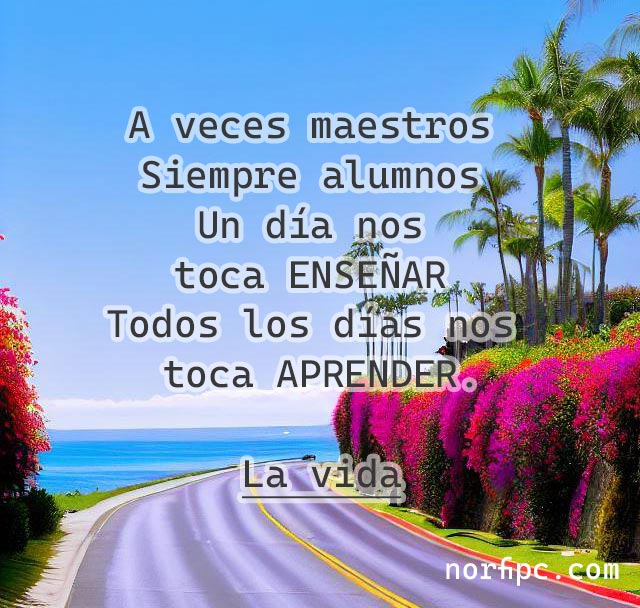 En la vida a veces somos maestros, siempre somos alumnos; un día nos toca enseñar, todos los días nos toca aprender.
norfipc.com/amor/frases-pa…
#reflexiones #vida