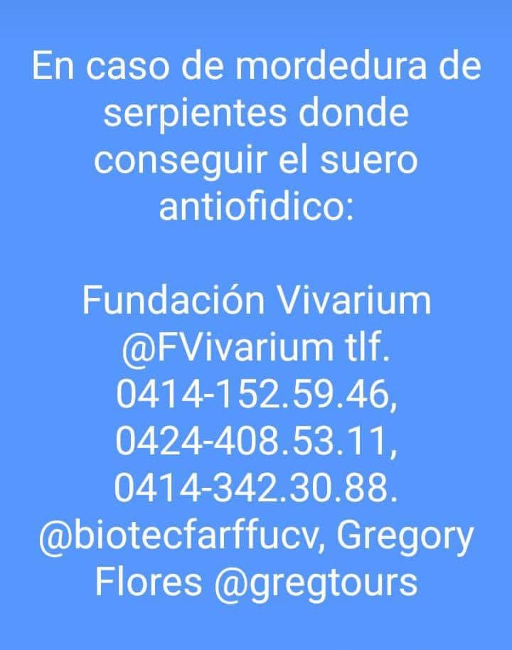 Feliz día.

Comparte esta valiosa información con todos. Haz retuit.

Ayúdanos a salvar vidas 

<a href="/LafranciscanaF/">Farma.LaFranciscana</a> 💙
¡Síguenos!