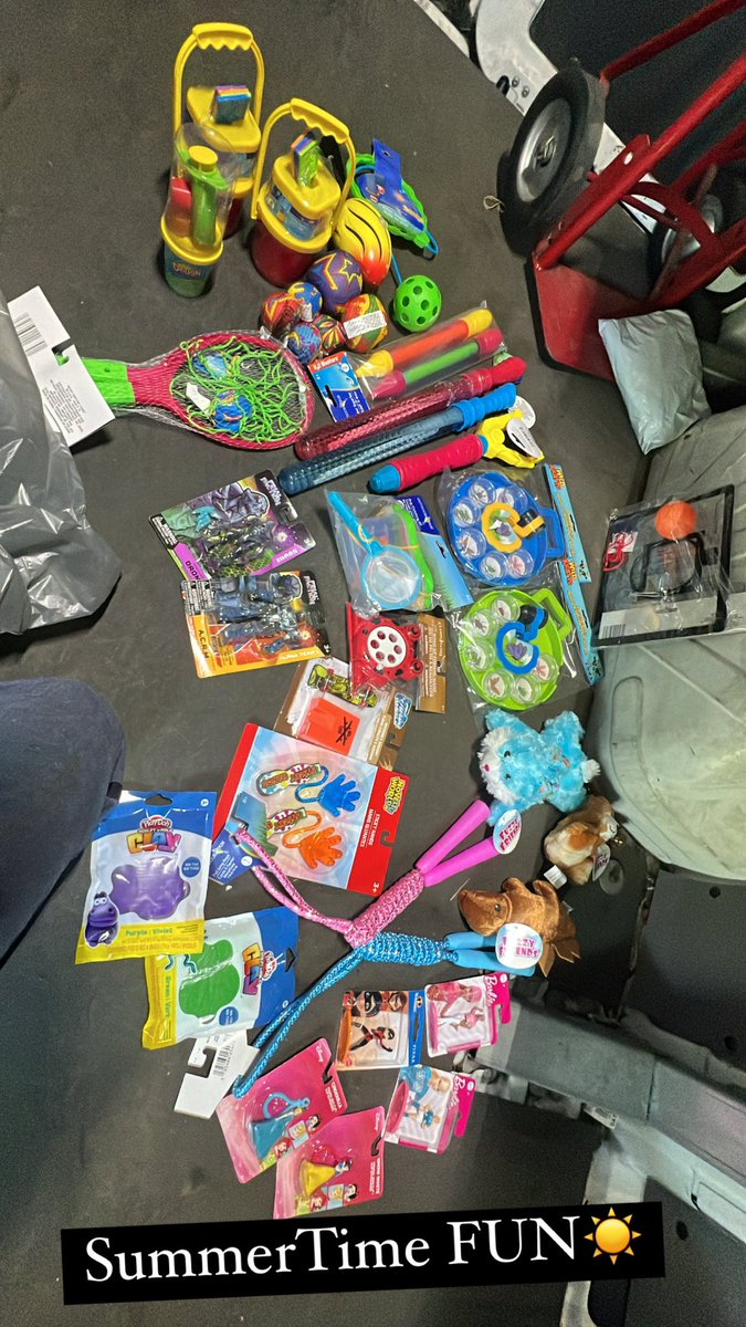 DessiTTG's tweet photo. And this why the kids come running to the mail truck & not the ice cream truck😂 #MailLady #SummerTimeFun #Toys #ILoveMyRouteBabies #ToyBin https://t.co/EKg4wibihM