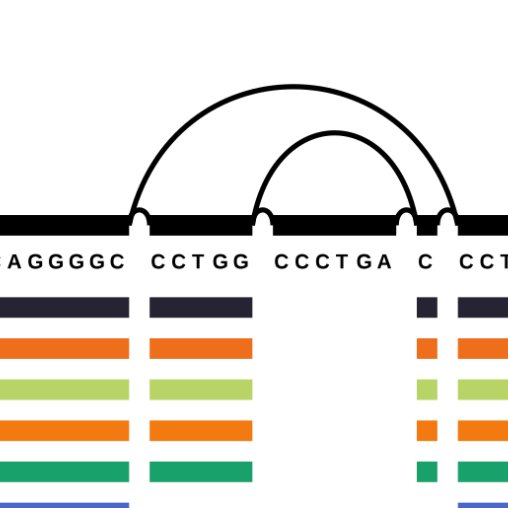 Erik Garrison tweet media