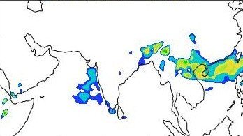 #Exclusive 
#SuperTyphoonMawar Impact #India?
■As per @JMA_kishou,'Violent' TY will be in #PhillipinesSea till May31
■Tracking NW,Aim #Taiwan 
■As per @iitmpune,Remnants 2 reach #NorthEast btwn Jun9-15
■#IITM shows #Cyclone genesis (Jun9-15)in #ArabianSea, tracking2 #Gujarat