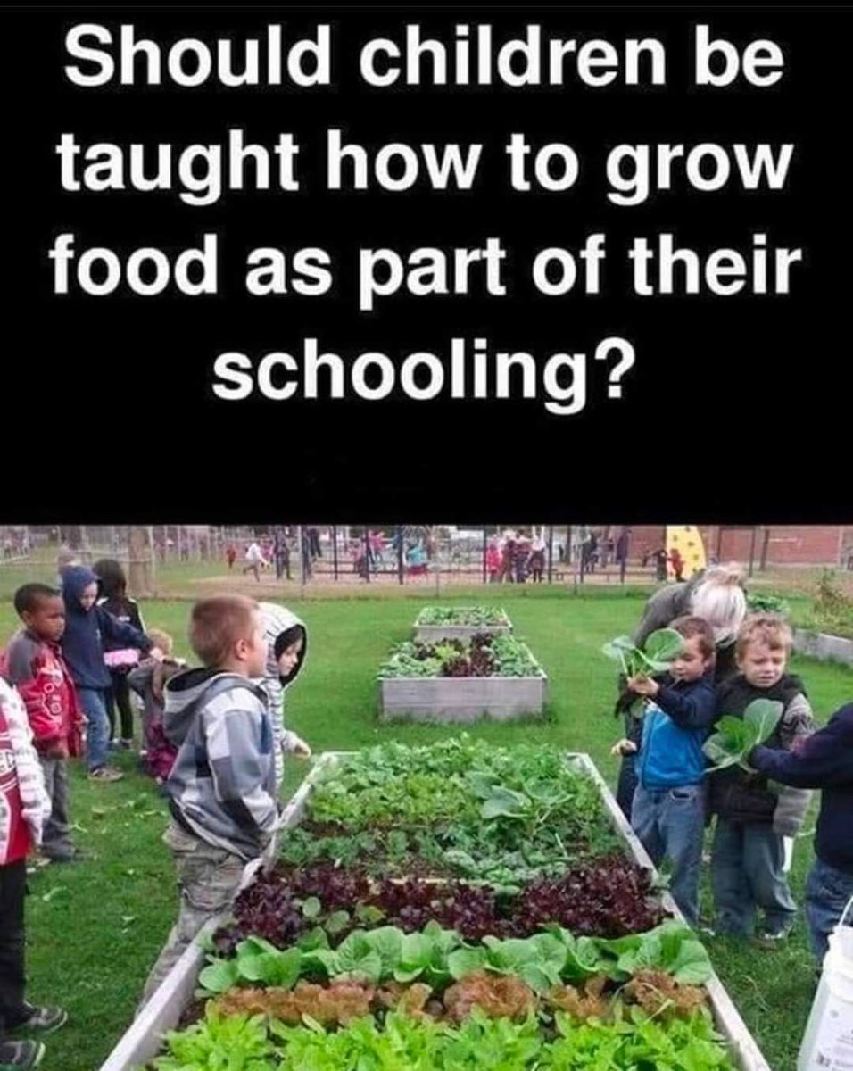 Put your response below! 👇