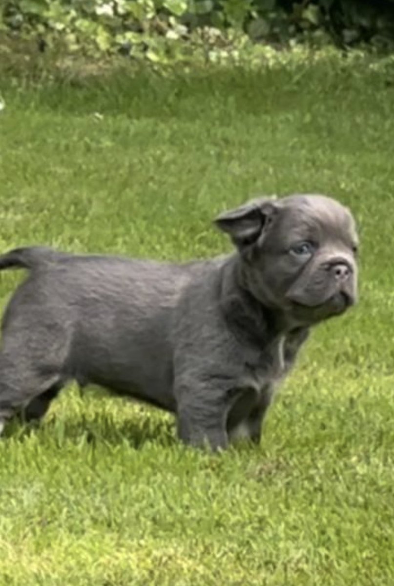 Arron Carson tweet media